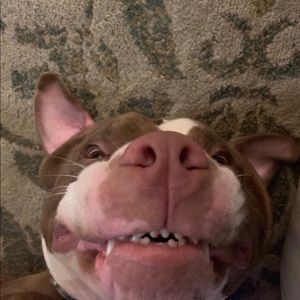 Meet your Posher, Alex